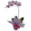 Orquídea Lilás Top
